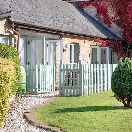 Daisy Cottage Пейнтон Экстерьер фото